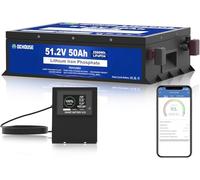 DCHOUSE 48V 50AH LiFePO4 Batería de carrito de golf, 100A BMS, con Bluetooth&Monitor LCD, baja temperatura de corte, 2C tasa de descarga, pico de corriente 200A para cortadora de césped,sistema solar