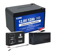 DCHOUSE Batería de litio LiFePO4 de 12 V y 12 Ah, con cargador de 4 A, convertidor CC de 12 V a tipo C y USB, recargable, perfecto para sistema off-grid, autocaravana, alarma doméstica