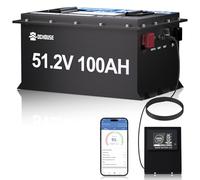 DCHOUSE Batería LiFePO4 48V 100Ah con Bluetooth y Monitor de Batería, BMS 200A, Protección de Baja Temperatura, Carcasa Metálica, 4000+ Ciclos, para Carrito de Golf, Autocaravana y Sistema Solar