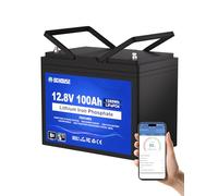 DCHOUSE Bateria LiFePO4,Bluetooth, bateria litio12v 100Ah,con protección contra baja temperatura, 100 BMS inteligente, hasta 15000 ciclos, para paramotores de trolling, marina, barco,autocaravanas