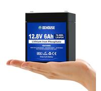 DCHOUSE Batería Mini LiFePO4 de 12V6Ah,Protección BMS de 6A,Pico de 33A/10s
