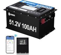 DCHOUSE LiFePO4 - Batería para carrito de golf (48 V, 100 Ah, monitor de batería Bluetooth, función de apagado a baja temperatura, carcasa de metal resistente, adecuada para carritos de golf, solares