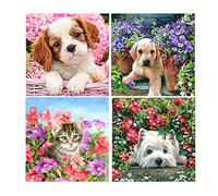 DCIDBEI 30x30CM 5D Diamond Painting Kits Completo, 4 Pcs Bordado Diamante Pintura Animales Anime,Juego Educativo Casual Regalo Original Decoración Pared Del Hogar,Gato y Perro entre Flores