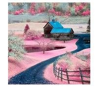 DCIDBEI 40x40CM 5D DIY Diamond Painting Paisaje Rosa,Mosaicos Manualidades Adultos kit Cuadros Diamantes 5d Casa de Campo Cuadrado,Artesanía de Mosaico Ocio Creativo Adultos Deco