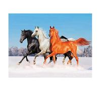 DCIDBEI 50x40CM Caballo de Pintura Diamante 5D, Cuadrado Diamond Painting Paisaje Nieve Punto Diamante Cuadros Animales Salvajes, Ideal para Adornos Decoracion Salon Interior para Adultos