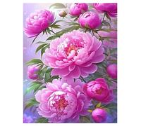 DCIDBEI Cuadros grandes y claros de pintura de diamantes para adultos, flores de peonía, 40 x 50 cm, para adultos, flor, peonía, flor de la vida, riqueza, felicidad, belleza