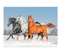 DCIDBEI Diamantes 50x40cm Caballos Cuadrado Pintura de Diamantes Motivo Caballos Square Diamond Painting Paisajes Invierno Cuadros de Diamantes de Caballos Negro Puzzle de Diamantes de Caballos Animal