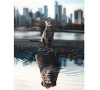 DCIDBEI Diamond Painting Diamantes Cuadrados 40x50cm Pintura Diamante Gato Leon Puzzle de Diamantes de Gatos Punto de Diamante Reflejo Gato Punto de Cruz Diamante Leon Dibujos de Diamantes de Animales