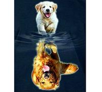 DCIDBEI Diamond Painting Square Drill 40x50 cm Pintar con Diamantes Perro Pintar por Numeros Diamantes Perros Cuadro Diamante Perro Labrador Cuadros por Diamantes por Numeros Perros Perror Reflejo