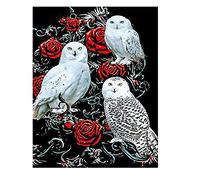 DCIDBEI Diamond Painting Square Drill Búhos Rosas 40x50cm Puzzle 5D Diamante Grande de Buho Punto de Cruz Diamante Buho Lienzo Diamantes Buho Pintura de Diamantes Cuadrados Buho Animales