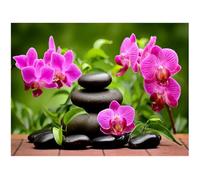 DCIDBEI DIY diamond painting orquídea piedras cuadradas 50 x 40 cm 5D diamante painting Kit full drill grande image peinture por números stitch bordados diamantes completos, kit completo niños adulto