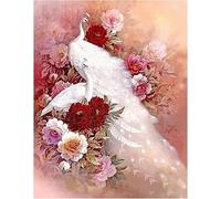 DCIDBEI Kit de Pintura de Diamante Cuadrado para Taladro Completo Lienzo de pavo real Blanco para pared Mosaico de Diamante Bordado de punto de cruz para Niños Puntadas por Números 40 x 50 cm