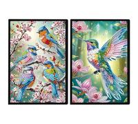 DCIDBEI Paquete de 2 Cuadernos Pintura con Diamantes A5 Diamond Painting Cuaderno A5 Hojas Blancas Diamond Painting Diario Secreto Cuaderno de Bocetos para Adultos Pájaros y Flores Colibrí