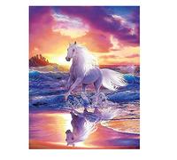 DCIDBEI Pintar con Diamantes de Atardecer 40x50 cm Puzzle Diamante Paisaje Mar Lienzo de Diamantes de Playa Diamantes por Puntos 5D Caballos Cuadros Diamantes Caballos Kit Diamantes Paisaje Mar