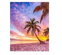 DCIDBEI Pintura de Diamante Paisajes Playa y Mar Rosa 40x50cm Puzzle Diamante Paisaje Mar Cuadros Diamantes 5D Paisajes Punto Diamante Atardecer Dibujos de Diamantes de Playa Diamond Painting Palmeras