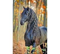 DCIDBEI Pintura Diamante Adultos Cuadrado Caballo 40x50cm Puzzle Diamantes Caballos Square Diamond Painting Diamantes Cuadrados de Caballos Pintura de Diamantes 5D Caballos Negro Paisaje Bosque