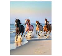 DCIDBEI Pintura por Números Caballos s 40x50cm Pintura 5d Diamante Mar Paisaje Diamond Painting Paisajes de Playa Pintura Diamante Blanco y Negro Caballos Puzzle Animales