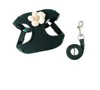 DCNIYT - Correa para perro, gatitos y cachorros se puede utilizar para evitar la explosión de correr, para garantizar la seguridad del transportador de tracción de tu mascota (negro, S (0.5-3 kg))