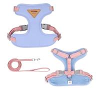 DCNIYT - Juego de correa de arnés ajustable para gatos, chaleco a prueba de escapes, correa para el pecho de gatito, chihuahua, pug, correa de plomo para caminar al aire libre (azul, XS 2-3 kg)