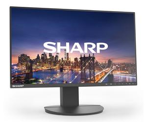 DD-EA242F Negro 24IN IPS 1920 X 1080 1000:1 250CD Monitor