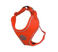 DDOXX Arnés Perro Air Mesh, Ajustable, Reflectante, Acolchado | Muchos Colores & Tamaños | para Perros Pequeño, Mediano y Grande | Accesorios Gato Cachorro | Naranja, L, chuches para Perros