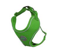 DDOXX Arnés Perro Air Mesh, Ajustable, Reflectante, Acolchado | Muchos Colores & Tamaños | para Perros Pequeño, Mediano y Grande | Accesorios Gato Cachorro | Verde, XS, chuches para Perros