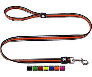 DDOXX Correa Perro Air Mesh, Reflectante, Acolchado, Lazo de Mano, 120 cm | Muchos Colores & Tamaños | para Perros Pequeño, Mediano y Grande | Accesorios Gato Cachorro | Naranja, M, empapadores
