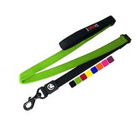 DDOXX Correa Perro Nylon, Bungee, Acolchado, Lazo de Mano | Muchos Colores y Tamaños | para Perros Pequeño, Mediano y Grande | Accesorios Gato Cachorro | Verde, 1,20 m