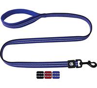 DDOXX Correa Perro Nylon, Reflectante, Acolchado, Lazo de Mano | Muchos Colores y Tamaños | para Perros Pequeño, Mediano y Grande | Accesorios Gato Cachorro | Azul, L
