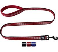 DDOXX Correa Perro Nylon, Reflectante, Acolchado, Lazo de Mano | Muchos Colores y Tamaños | para Perros Pequeño, Mediano y Grande | Accesorios Gato Cachorro | Rojo, L