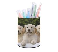 DDTKLSNV Golden Retriever Puppies - Portalápices de poliuretano, soporte para brochas de maquillaje, impermeable, organizador de bolígrafos de escritorio, para accesorios de escritorio de oficina