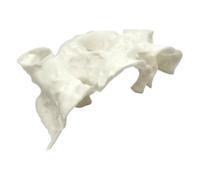 Ddujbtp Ecosystem - Decoración segura para acuarios de mascotas, peces, camarones, refugio, cueva, tanques, acuarios, decoración de agua salada, agua dulce, acuarios