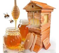 DDZJTPP Kit De Inicio para Colmena, Colmena De Miel Autofluyente con Ventana De Observación Y Pico De Miel Incluye 4 Marcos para Abejas Y 6 Bandejas De Panal Recolección Automática De Miel