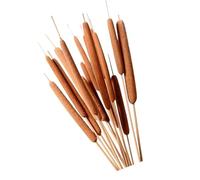 De 20 Tallos de totora Seca, Adorno de 60 cm, Hermosa decoración de Granja, artículos Decorativos únicos, sustratos Naturales de Junco