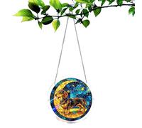 de acrílico, letrero atrapa rayos 20 cm | de acrílico - Para mamá, hombre, cumpleaños, puerta jardín coche