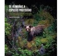 De alimañas a especies protegidas: Osos, lobos y otros animales amenazados en las montañas de Palencia y Cantabria