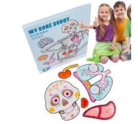 de anatomía humana | Conjunto de juego de anatomía del cuerpo humano | Juego de humano para los