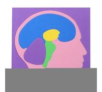 De Anatomía Humana, Modelo De Cerebro Educativo Montaje EVA, Modelo de Puzzle del Cuerpo Humano DIY, para Hogar Escuela Interior Jardín De Infancia Viajes Niños