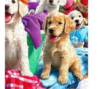 de Animales para Adultos Juego De Puzles Con Tema Lavandería Canina