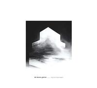 De Beren Gieren - Dug Out Skyscrapers [Vinilo]