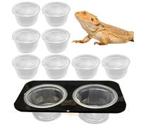 de comida para reptiles, agua para tanque de reptiles, alimentador de alimentos para reptiles para recipiente de agua lagarto, tanque desmontables con tazas que alimentan el para el dragón barbudo