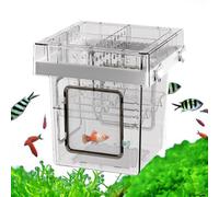 De Cría De Peces 4 Compartimentos Acrílico Transparente con De Fijación | s De Eclosión Para Tanque De Peces Y Acuario Incubadora Acuática Con Peces Betta, Gamba, Guppy
