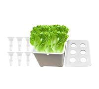 De Cultivo Hidropónico - Kit De Hidropónica De 6 Orificios, De Cultivo Sin Suelo | para Plántulas Verduras Flores Frutas Interior Jardín Al Aire Libre Invernadero Granja Patio Traser