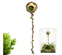 de escalada de araña de saltar | Decoración magnética con diseño , lugar de descanso para arañas, refugio, de escalada | Para pequeños terrarios reptiles para jugar y explorar