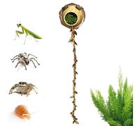 de escalada de araña de saltar | Juego de escalada magnético decorativo - Cueva de retiro de arañas con cuerda | Para pequeños terrarios reptiles para jugar y explorar, descansar y
