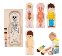 de estructura del cuerpo humano, de madera del cuerpo humano - Juguetes de esqueleto de de anatomía de aprendizaje - Aprendizaje interactivo para reconocer las