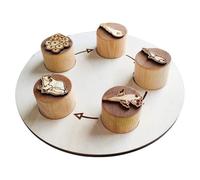 de evolución Animal - Educativo de evolución Animal, Juego de de Madera | Juguete de Aprendizaje de biología | para niños, Preescolar, Aula, Ciencia, Actividad m