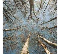 De Felice Eduardo - Ordine E Disordine