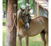 de fijación de caballos -anillos de fijación de caballos con tornillos, corbatas de caballo de liberación rápida, tachuelas de acero inoxidable con pernos de , riendas de magnético