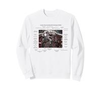 De Havilland Vampire FB MK.2 British Jet Fighter Old Cockpit Sudadera